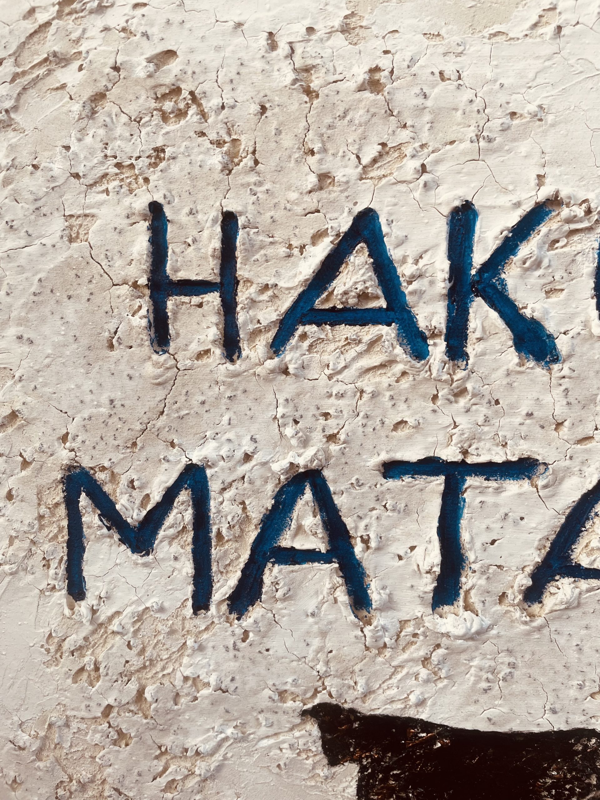 HAKUNA MATATA - Image 2